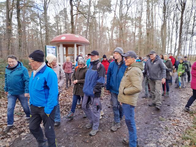 Am Märchenpilz oberhalb von Schmachtenberg | Foto: Ferdinand Lang