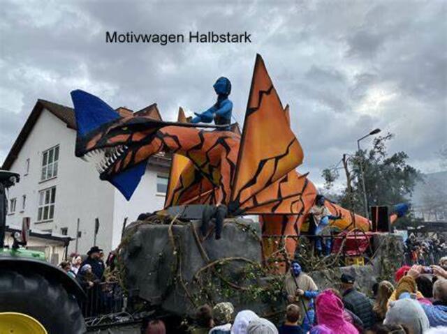 Avatar beim Umzug in Seckmauern. | Foto: privat