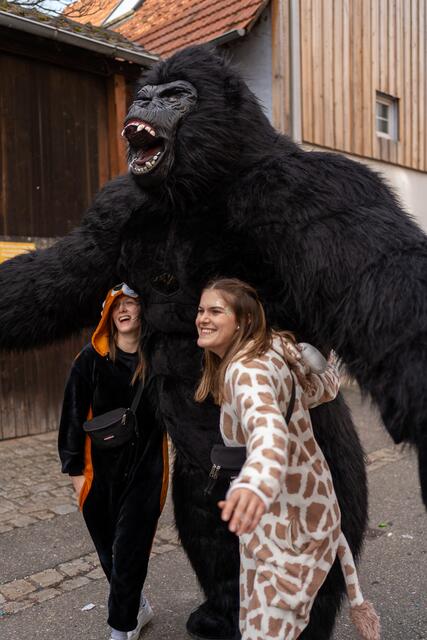 Foto: NicePixArt Eventfotograf Wertheim