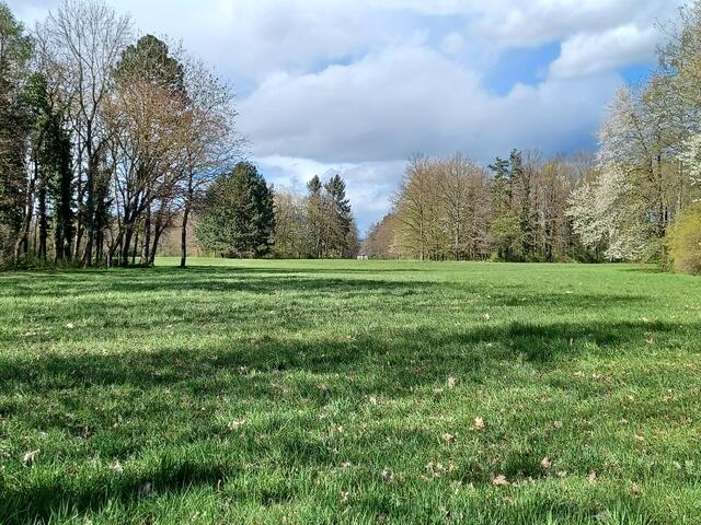Blick von der Nilkheimer Kapelle zum Pavillon | Foto: Wolfgang Giegerich