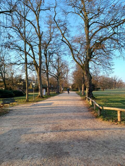 Schnurgerade, die Schönbusch-Allee | Foto: Wolfgang Giegerich
