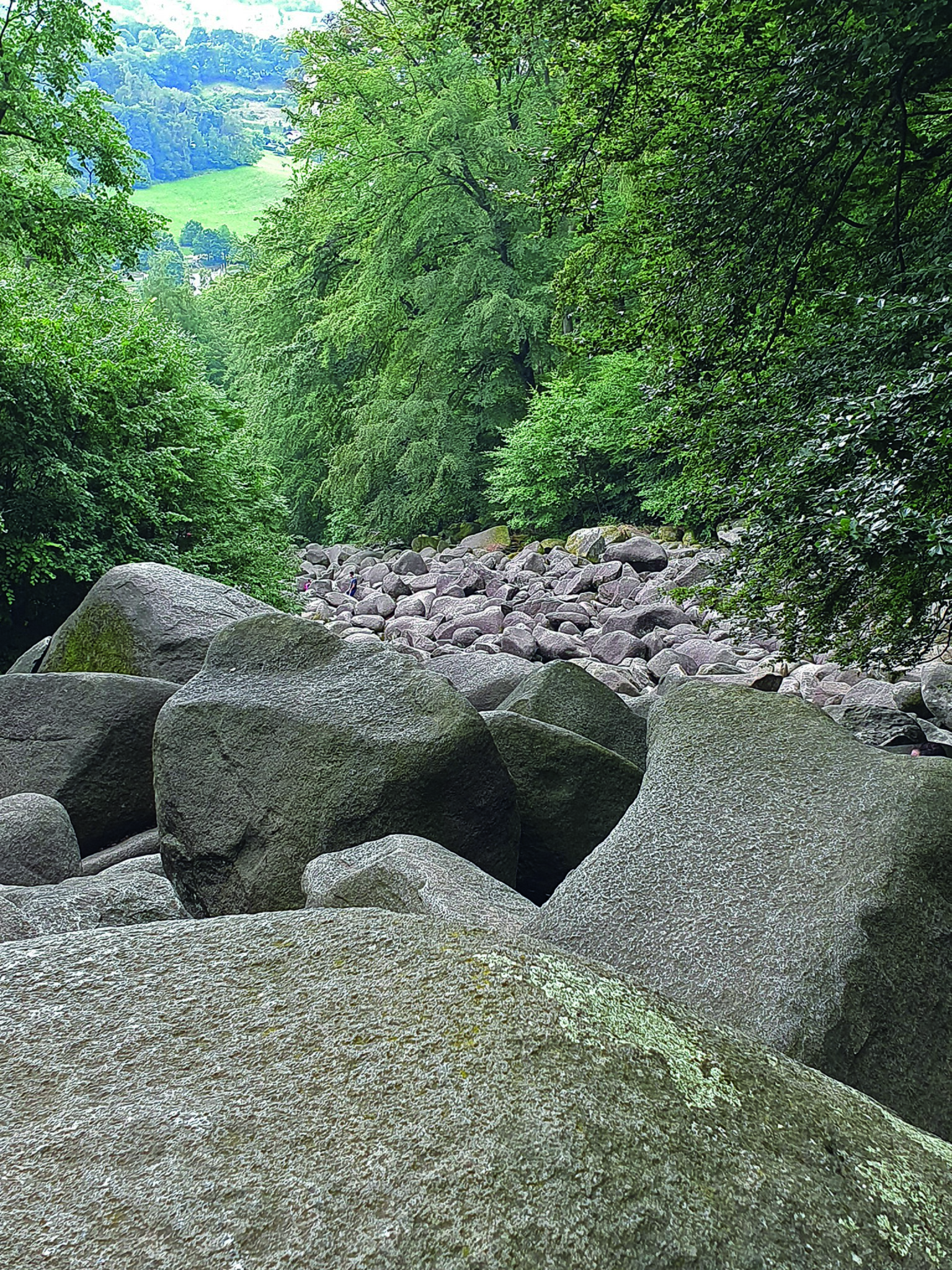 ausflugs-tipp-felsenmeer-in-lautertal-reichenbach-odenwaldkreis
