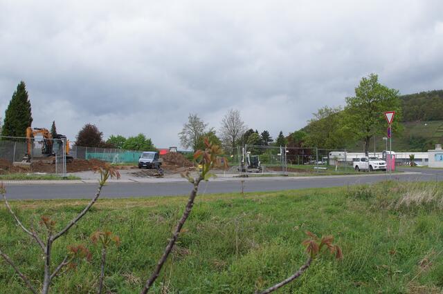 Foto: Roland Schönmüller