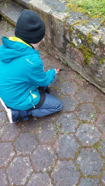 Ministranten Weilbach | Foto: Roland Lutz