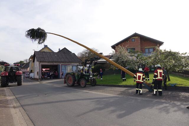 Maibaum-Aufstellung in Eichenbühl-Windischbuchen