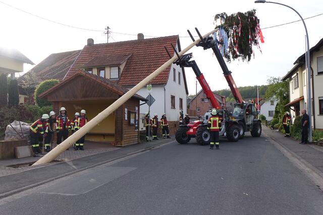 Fleißige Feuerwehrleute  in Heppdiel bei der diesjährigen Maibaum-Aufstellung. 