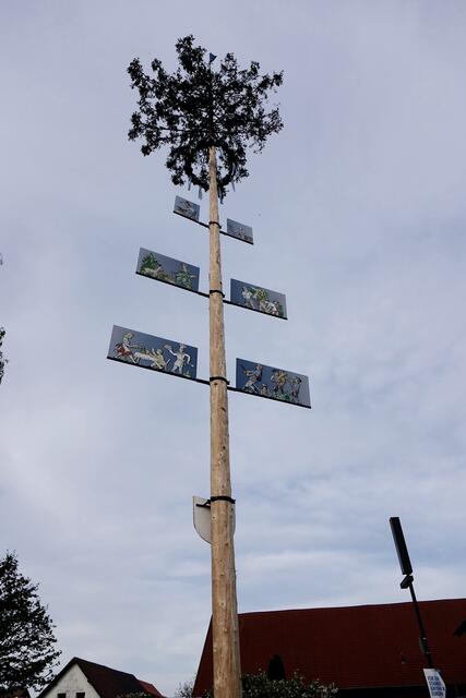 Sehenswerter Maibaum mit schönen Blildern in Wenschdorf.