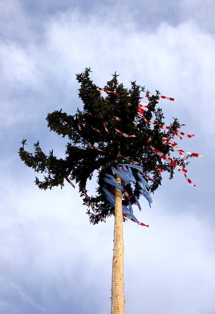 Maibaum in Heppdiel. 