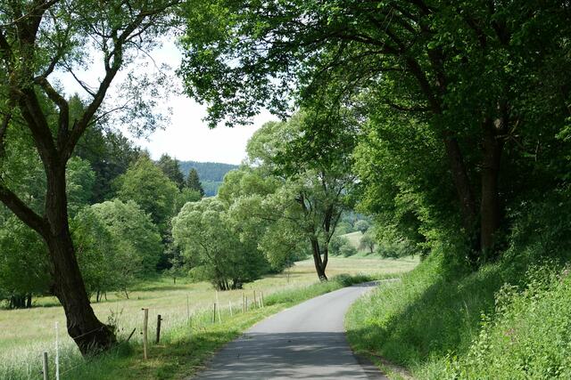Pfingsten: Ein Fest des Grünen und Blühens sowie damit auch ein Fest der Lebensfreude. Gesehen im Odenwald. 
