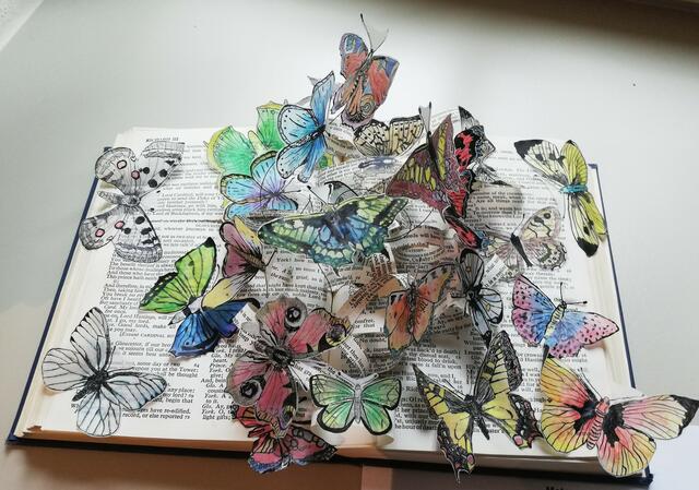 Buchobjekt Tuschezeichnungen mit Aquarellfarben à la Maria Sybilla Merian, Klasse 7a | Foto: Brigitte Hartung-Bretz