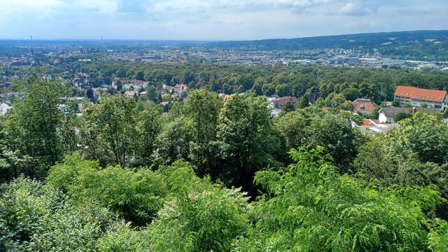 Blick auf Aschaffenburg | Foto: Wolfgang Giegerich