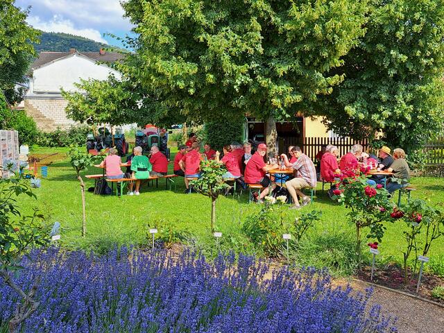 Im Rosengarten | Foto: Konrad Meisenzahl
