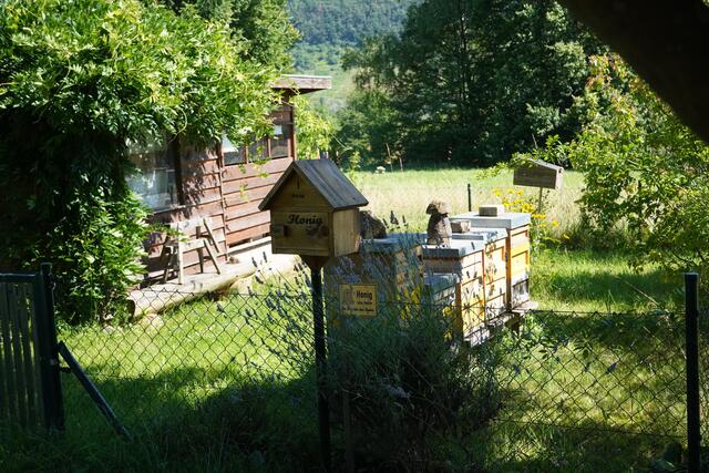 Bienen lassen sich nicht weit vom Parkplatz entfernt beobachten. Honig gibt es - aufbewahrt in einem kleinen Depot - gegen ein Entgelt von fünf Euro zum Mitnehmen und Zuhause-Probieren. 