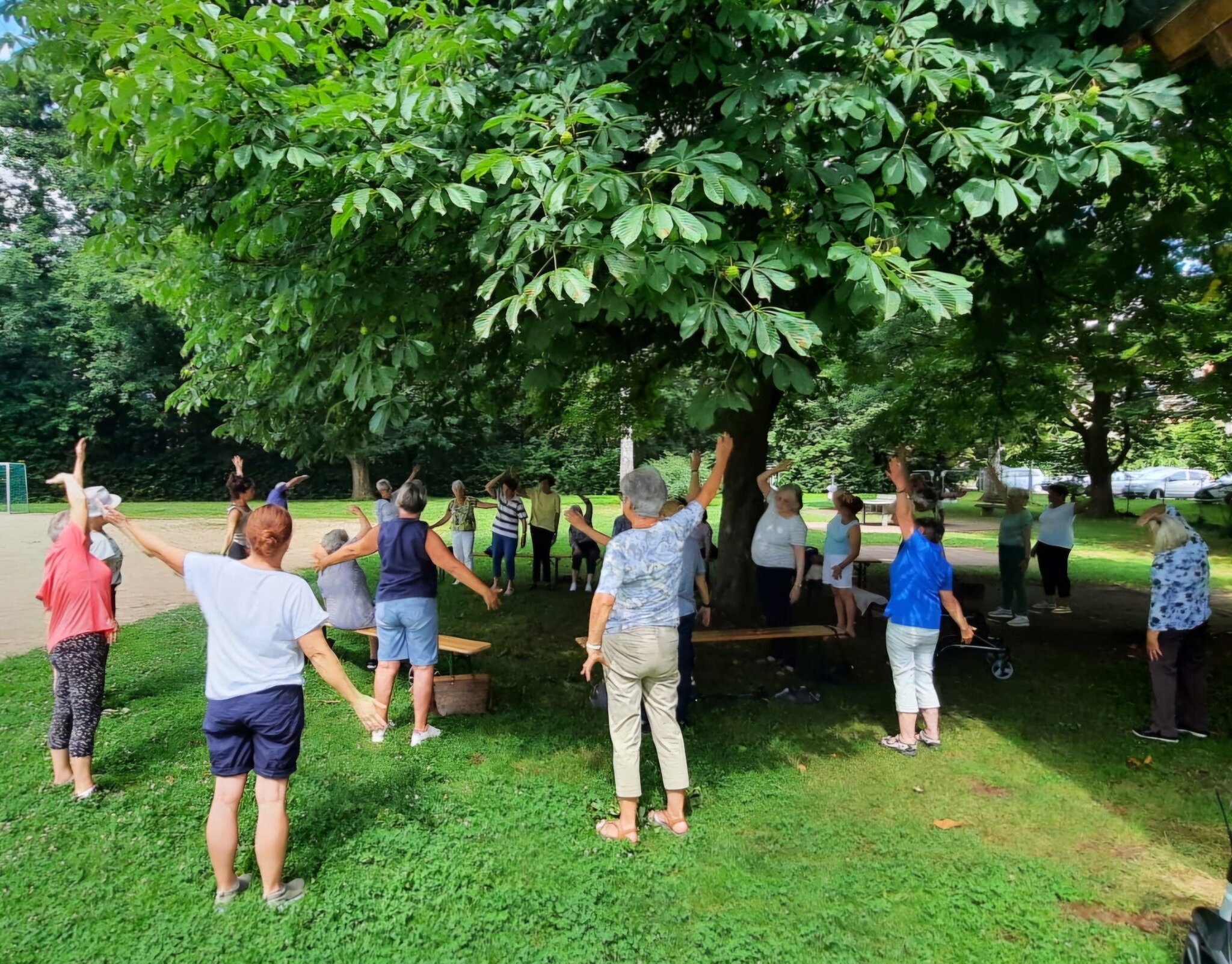 Erstes „Zeit Für Familien“-Treffen Im Elsavapark – VXEH