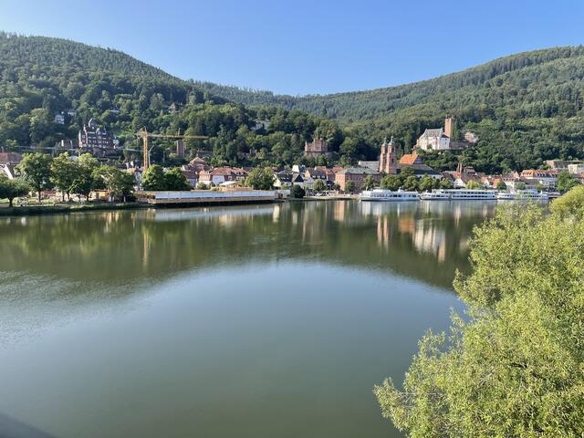 Miltenberg am Main am frühen Morgen!