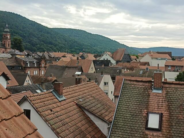 Die Amorbacher Dachlandschaft.