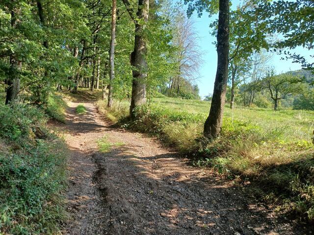 Gute Aussichten | Foto: Wolfgang Giegerich