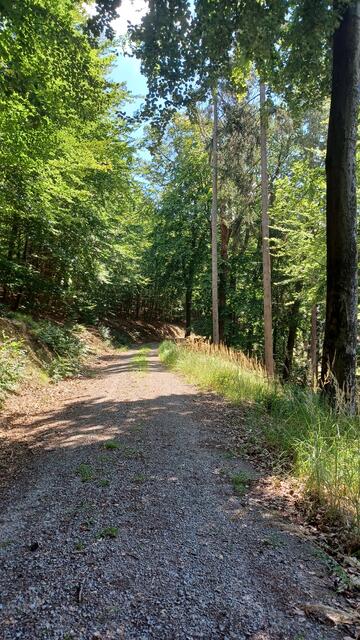 Waldweg - Kulturlandschaft | Foto: Wolfgang Giegerich
