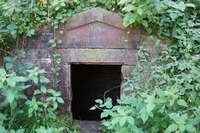 Magisch, mystisch, mächenhaft: die Zwillingsquelle am Grauberg zwischen Monbrunn und Miltenberg. 