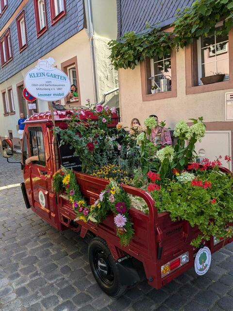 was für eine Blumenpracht