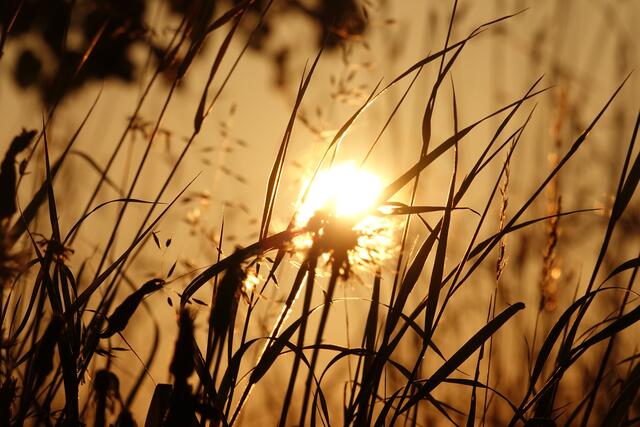 Morgensonne im September. 