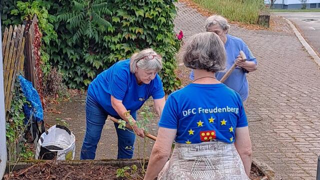 Foto: DFC Freudenberg