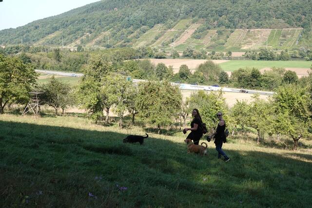 Im Maintal unterwegs bei Kleinheubach