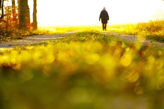 Die sonnigen Septembertage sind passé, Regenschauer bringen kühlere Temperaturen in den Herbst und Spaziergänge werden rarer.