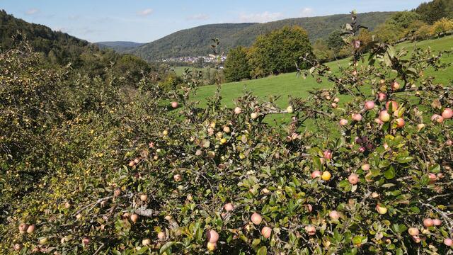 Natur pur | Foto: Kellerfreunde Schneeberg e.V.