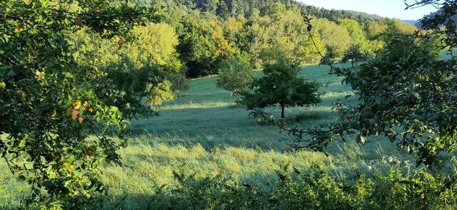 Foto: SLH Hobbach-Bauersberg gGmbH