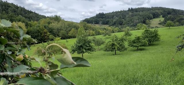 Foto: SLH Hobbach-Bauersberg gGmbH