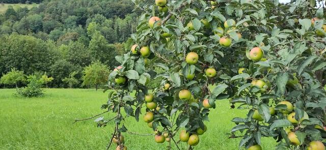 Foto: SLH Hobbach-Bauersberg gGmbH