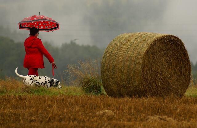 Wandern kann man bei jedem Wetter - fast !