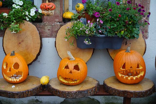 Gut gerüstet für Halloween 