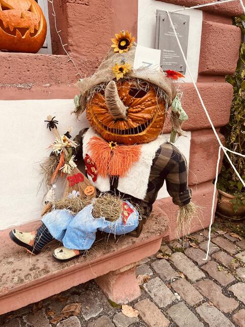 Mit der Startnummer 7 ging dieses Meisterwerk ins Rennen. Es reichte zum Schluss für einen Platz auf dem Treppchen!