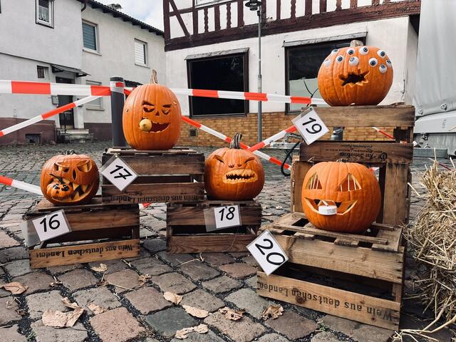 Einer toller als der andere, oder? Auf dem Bild ist auch schon der spätere Gewinner dabei.