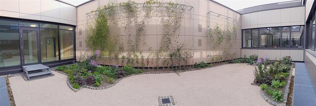 Welchen Einfluss hat eine Fassadenbegrünung auf das Raum- und Mikroklima? Dies will das Kreisbauamt an der Außenfassade des Miltenberger Gymnasiums erproben. Im Innenhof des JBG wurde eine solche Begrünung bereits umgesetzt. Foto: Kreisbauamt | Foto: © Winfried Zang