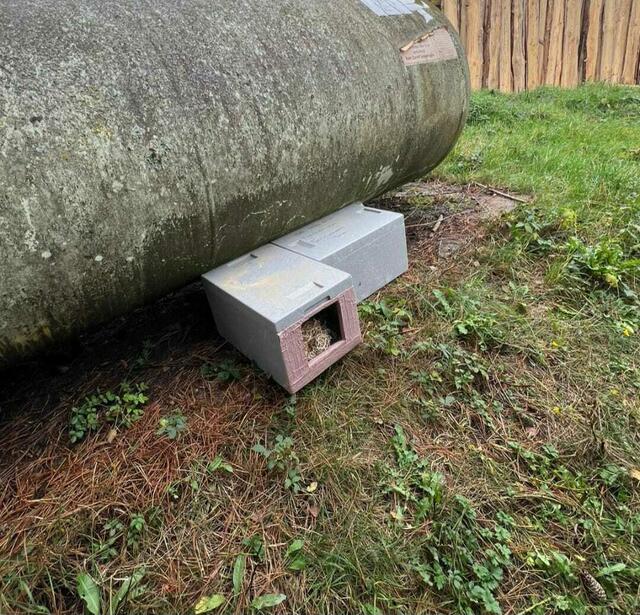 Foto: Tierschutzverein Buchen und Umgebung e.V., Foto unter Einverständnis der Erziehungsberechtigten veröffentlicht