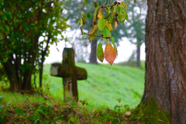 Der Buß- und Bettag bedeutet in der Gegenwart eher ein Innehalten und Nachdenken über sich selbst, über eigene Werte und Ideale, über menschliches Verhalten im Umgang mit anderen Lebewesen, über die Beziehung zu Gott und zum Glauben. Buße ist ein Motiv, das in allen Religionen vorkommt. Foto Roland Schönmüller