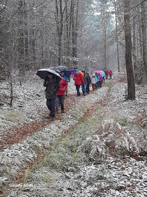 Auf dem Grenzweg bei Schneefall | Foto: Ferdinand Lang