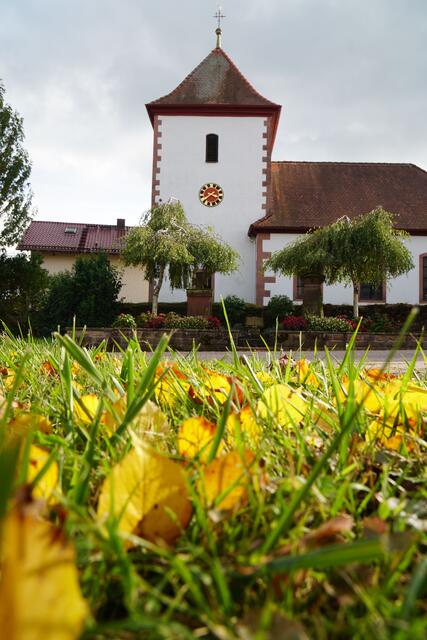 •Bauernregeln zum Kathreins-Gedenktag: "Katharinenschnee tut den Saaten weh." –“Wie's Wetter ist zu Sankt Kathrein, wird auch der nächste Frühling sein." Oder: "Sankt Kathrein läßt den Winter herein." Schließlich: „Sankt Kathrein sperrt die Geige ein (stellt den Tanz ein)." Sowie: "Kathrein stellt Schifffahrt und Musik ein." Foto Roland Schönmüller