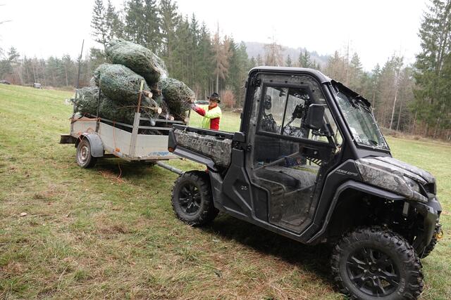 Kostenfreier Christbaum-Transport zum parkenden Auto.