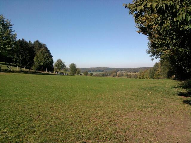 Der Spessart | Foto: Wolfgang Giegerich