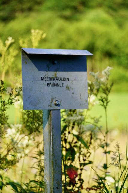 Hinweisschild: Meerfräulein-Brünnle  - bei Eichenbühl