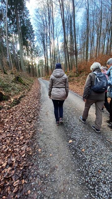 Weg durch den Wald | Foto: Wolfgang Giegerich