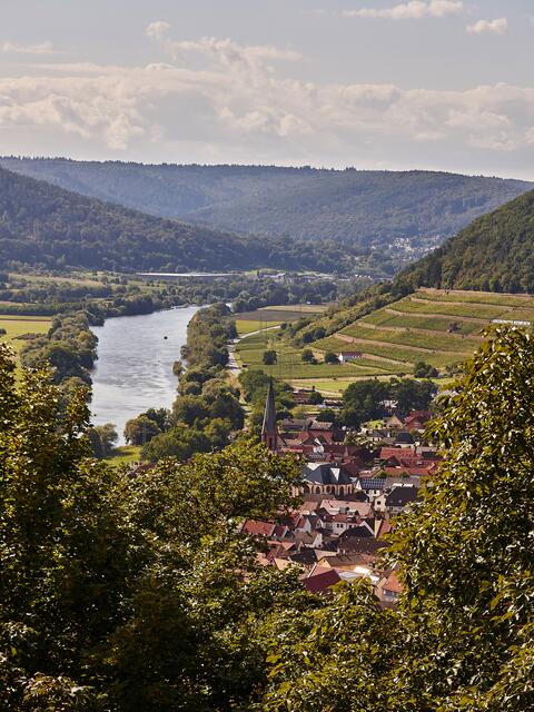 Wandern auf dem Fränkischen Rotwein Wanderweg | Foto: © Churfranken e.V. · Christian Kerber