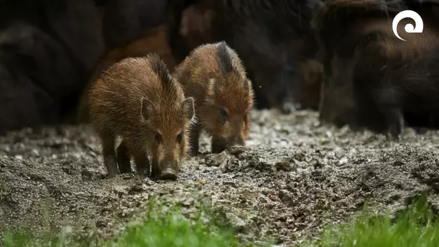 Foto: Landratsamt Neckar-Odenwald-Kreis