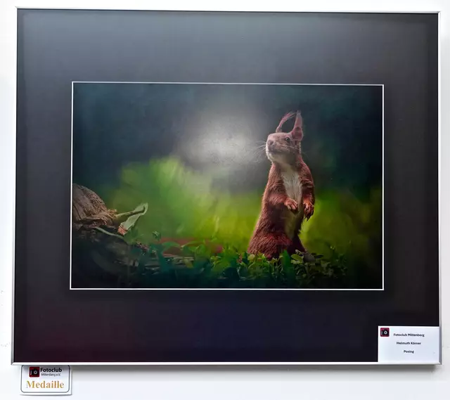 

 Im Foyer der Helios Klinik Erlenbach präsentieren 16 Clubfotografen gelungene und auch prämierte Arbeiten, deren Themen von Makroaufnahmen, Porträts, Natur- und Architekturfotografie bis hin zu Panorama- und Reiseaufnahmen reichen. Foto Roland Schönmüller