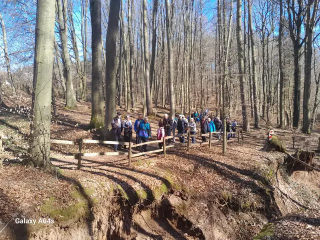 An Einem der Gräben und Verwerfungen unterhalb von Dörrmorsbach | Foto: Ferdinand Lang