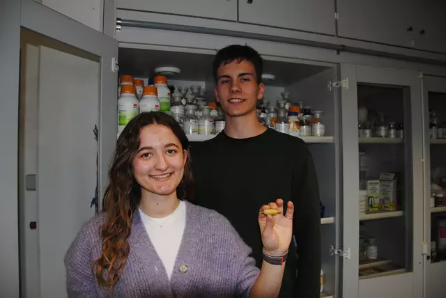 Lizzy Fischermann und Tom Kreßbach nehmen beim diesjährigen Landesentscheid von Jugend forscht in Klingenberg – wie schon im letzten Jahr – im Fachbereich Chemie teil. | Foto: Andrea Kaller-Fichtmüller